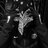 Dmitry_Pronogery